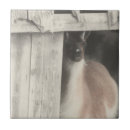 Suche nach lama fliesen Tier