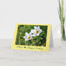 Suche nach jonquil Blume