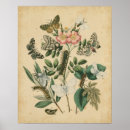 Suche nach vision poster Tiere