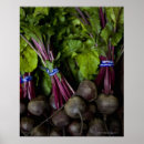 Suche nach beet poster Vegetable