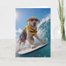 Suche nach surfing karten Surfen
