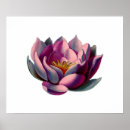 Suche nach antike blumen poster Botanik