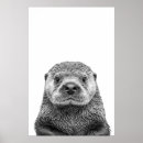 Suche nach sea otter poster Seeotter