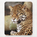 Suche nach jaguar mousepads Katze