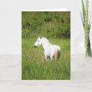 Suche nach bilder der pferde karten einladungen Pferdebilder