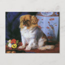 Suche nach pekingeser postkarten Hunde