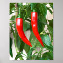 Suche nach paprika kunst Gewürz