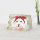 Suche nach havanese hunde karten Rasse
