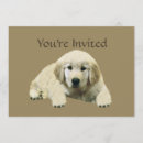 Suche nach goldene retriever einladungen Party