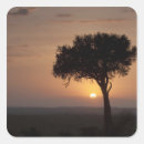 Suche nach mara aufkleber Szene