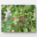 Suche nach libelle haustier fotoplatten Hübsch