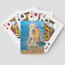 Suche nach schwimmer spielkarten Hund