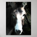 Suche nach donkey poster Cute