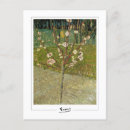 Suche nach mandeln postkarten Van gogh