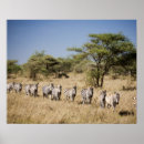 Suche nach tanzania poster Afrika
