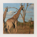 Suche nach südafrika puzzle Giraffe