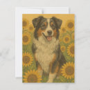 Suche nach australian shepherd postkarten Wurst