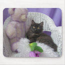 Suche nach computermaus postkarten Blume