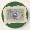 Suche nach waschbär untersetzer Natur