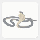 Suche nach cobra aufkleber Reptil