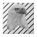 Suche nach weißkopfseeadler fliesen Vogel