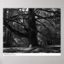 Suche nach 1962 poster Natur