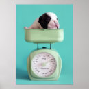 Suche nach tierthemen poster Farbbild