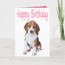 Suche nach beagle karten Welpen