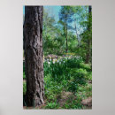 Suche nach blumenplakat Fotografie