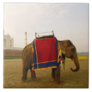 Suche nach taj mahal fliesen Indien