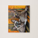 Suche nach sphynx puzzle Tier