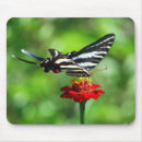 Suche nach frack mousepads Schmetterling