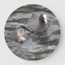 Suche nach küken wanduhren Vögel