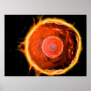 Suche nach der menschlichen zelle poster Digital generiertes bild