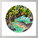 Suche nach mangroven poster Nationalpark