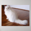 Suche nach tiergeschenke poster Katzengeschenke