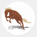 Suche nach bucking aufkleber Bronco