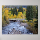 Suche nach aspen poster Wald