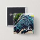 Suche nach pferde buttons Fotografie