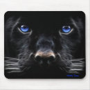 Suche nach schwarze panther mousepads Schwarzes