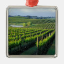 Suche nach weinberg ornamente Weinreben