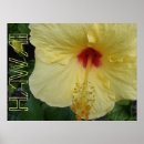 Suche nach hawaii reise poster Blume