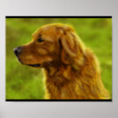 Suche nach golden retriever welpe poster Tiere