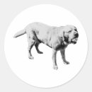 Suche nach hog aufkleber Hundefreund