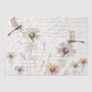 Suche nach damselfly Natur