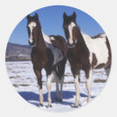 Suche nach paint horse aufkleber Reiter