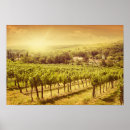 Suche nach weinberg poster Weintrauben