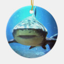 Suche nach haifische ornamente Weißer hai