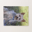 Suche nach yorkie puzzle Niedlich