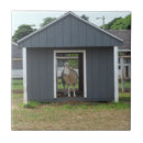 Suche nach schaf fliesen Land